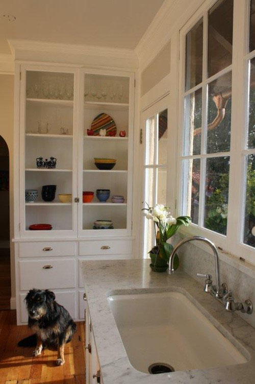 Kitchen shelves and dog